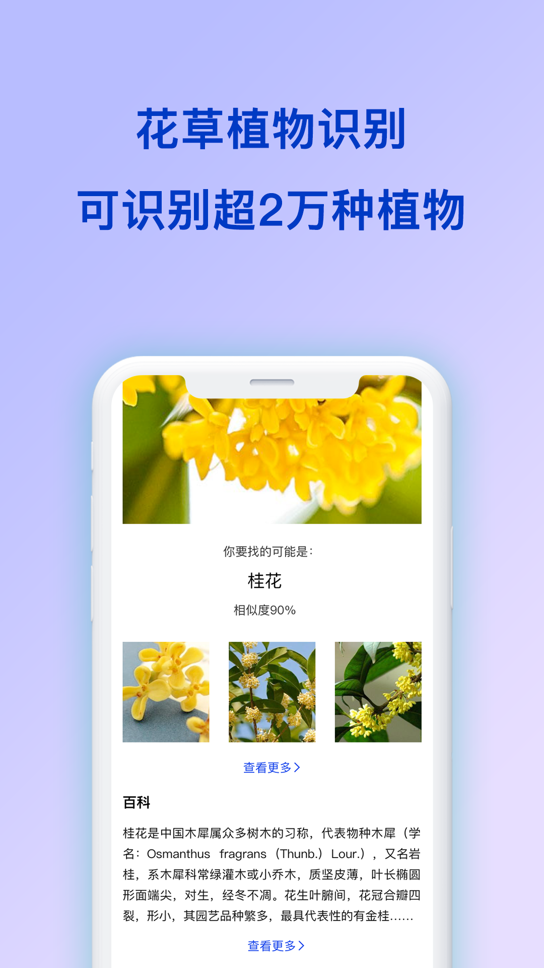 扫描识图安卓版 V1.0.3