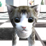 猫咪在密室安卓版 V1.0.2