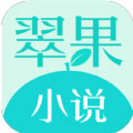 翠果小说安卓版 V1.0