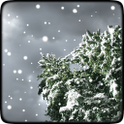 冬季降雪动态壁纸安卓版 V1.2.6