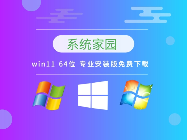系统家园Win11系统64位优化精简版 V2022.09