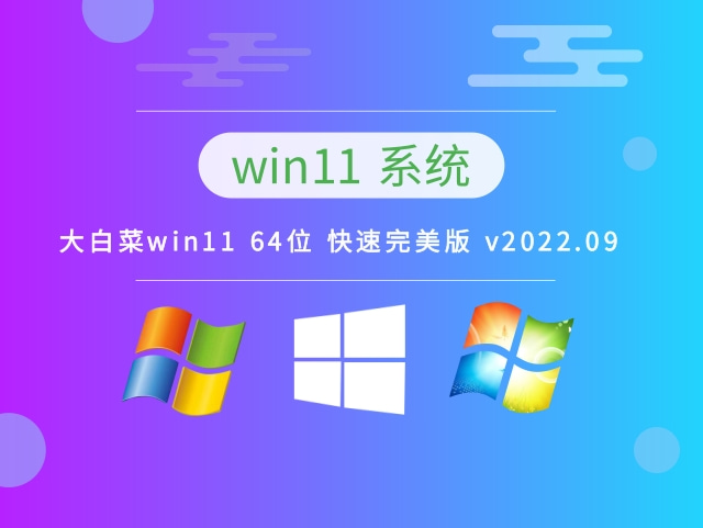 大白菜Win11系统64位官方专业版 V2022.09