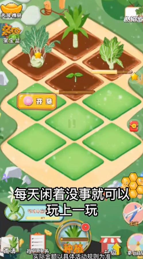 大头菜农场安卓红包版 V4.3.9