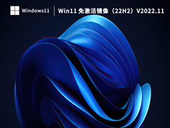 萝卜家园Win11系统64位绿色激活版 V2022.11