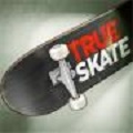 True Skate安卓免费版 V2.4.5