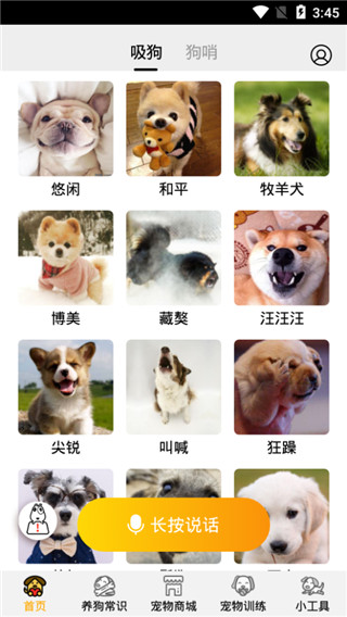 狗语翻译器安卓版 V1.2.8