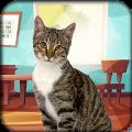 猫模拟器：可爱小猫安卓中文版 V1.5.8