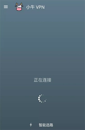 小牛加速器iPhone版 V1.0