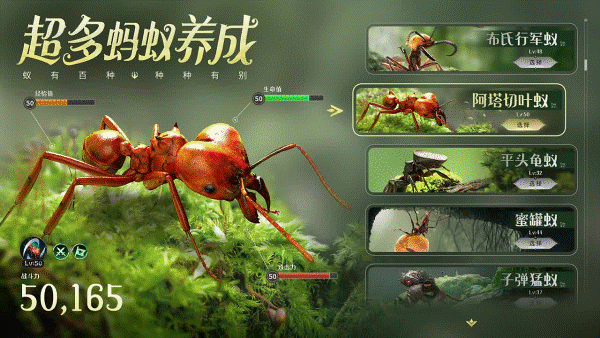 守望家园安卓中文版 V1.2.8