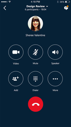 skypeiPhone版 V1.0