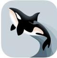虎鲸快讯安卓版 V2.0