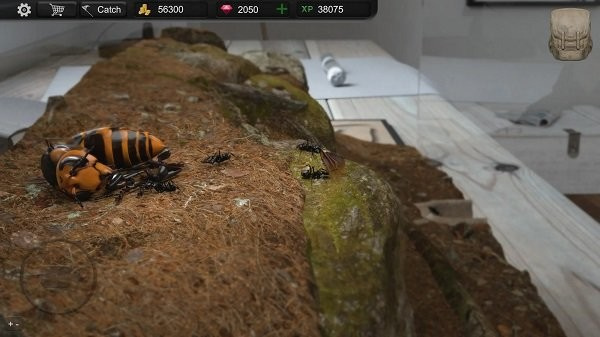 蚂蚁模拟大亨安卓汉化版 V2.6