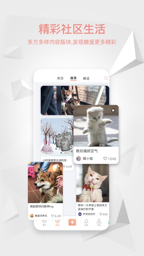 嗷屋宠物社交安卓版 V1.1.0