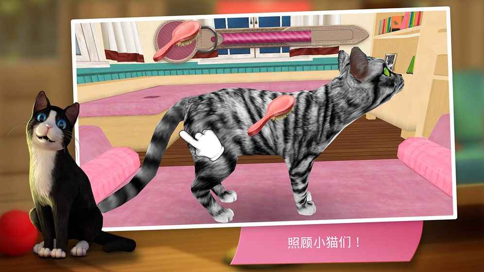 猫咪宾馆iPhone版 V2.1