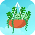 梦幻植物园中文版 V1.2.5