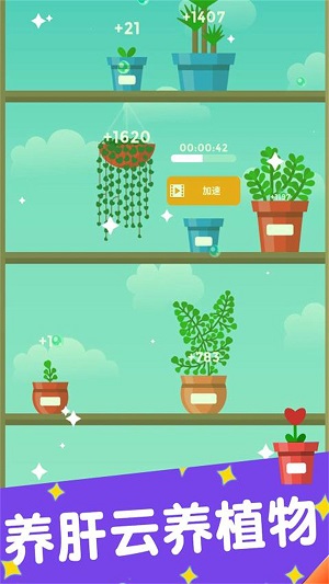 梦幻植物园中文版 V1.2.5