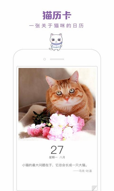 一日猫免费看版 V1.0