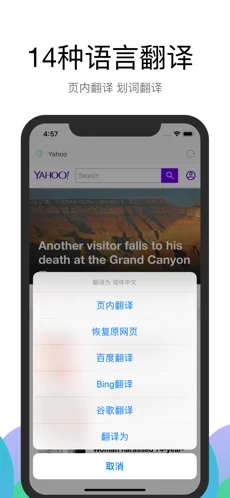 alook浏览器安卓版 V1.25