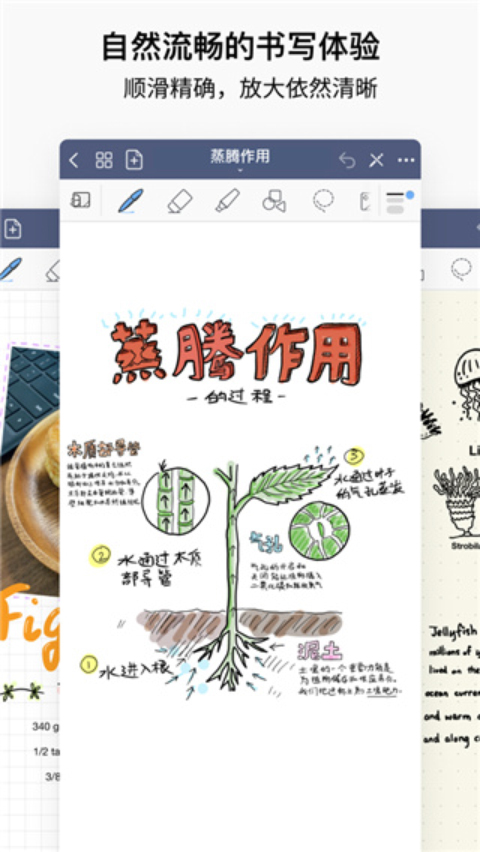 goodnotesiPhone极速版 V6.3.50