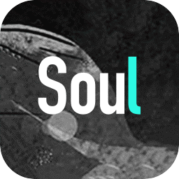 Soul安卓版 V3.0.16