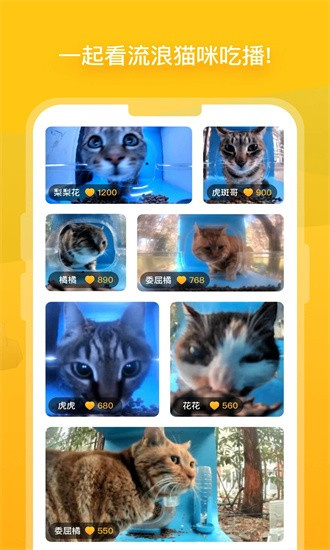 哈啰街猫安卓版 V1.28.5